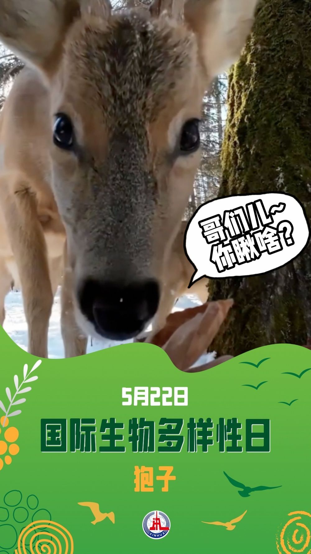 请注意！前方有“萌兽”出没……