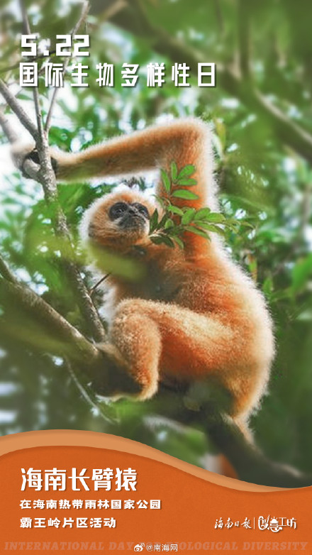 在国际生物多样性日，一起探秘生命的色彩
