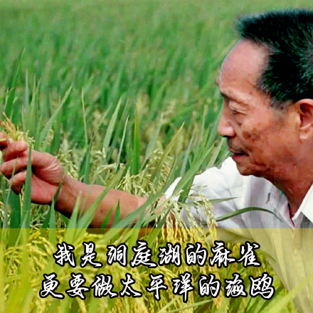 缅怀！袁老的这些瞬间让人动容