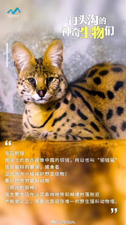 国际生物多样性日 门头沟的神奇生物在哪里？