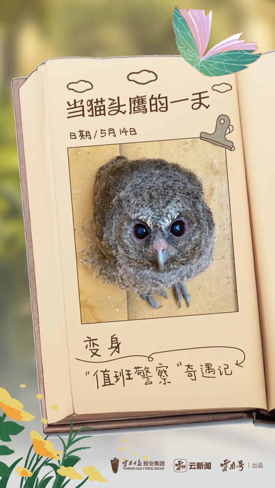 重生之我在云南当“神兽”