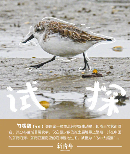 收藏!野生动植物界戏精表情包 收藏!野生动植物界戏精表情包