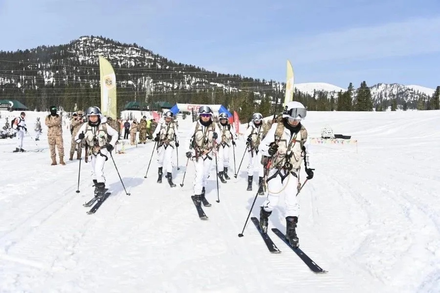 24岁提干!特战女排长再立新功! 24岁提干!特战女排长再立新功!