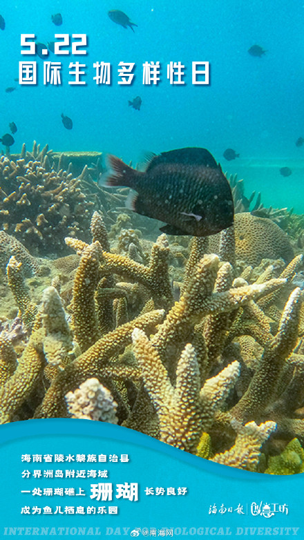 在国际生物多样性日，一起探秘生命的色彩