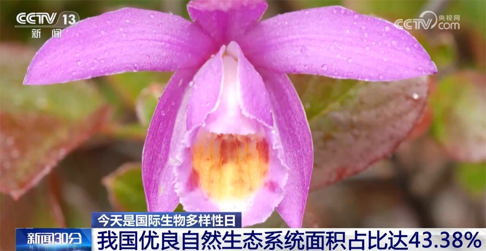 不断擦亮高质量发展“底色” 我国生态系统格局整体稳定并不断优化