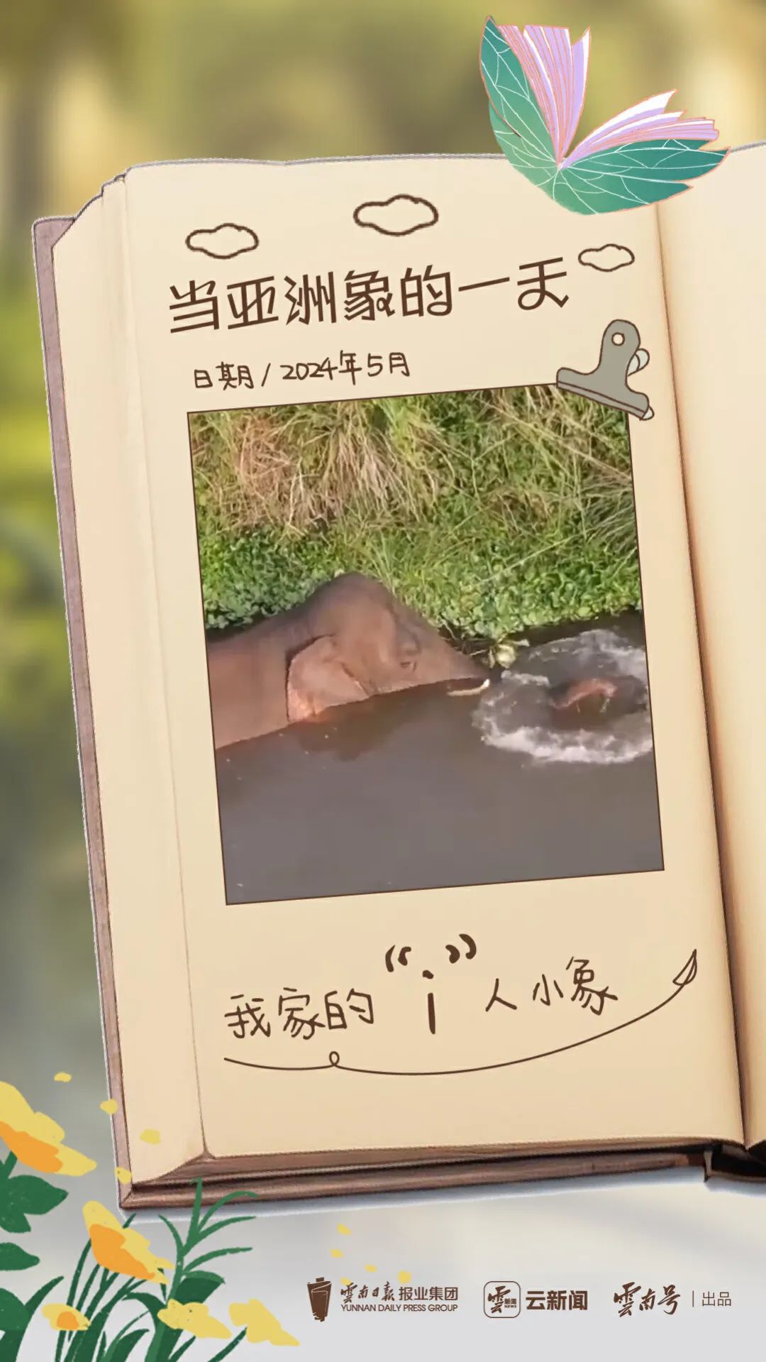 重生之我在云南当“神兽”