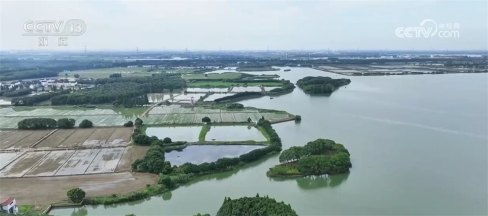 当野生动物“进城”与人类成为“新邻居” 如何做到和谐共生？