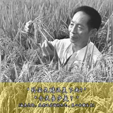 缅怀！袁老的这些瞬间让人动容