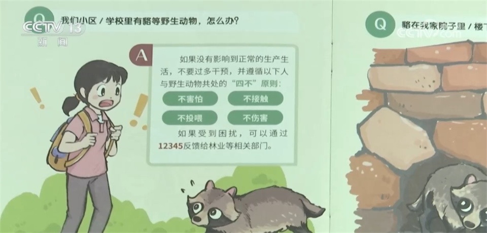 当野生动物“进城”与人类成为“新邻居” 如何做到和谐共生？