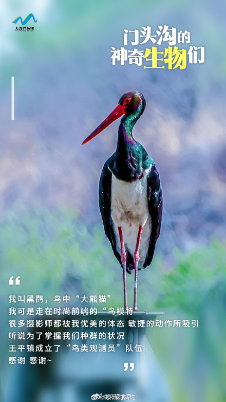 国际生物多样性日 门头沟的神奇生物在哪里？