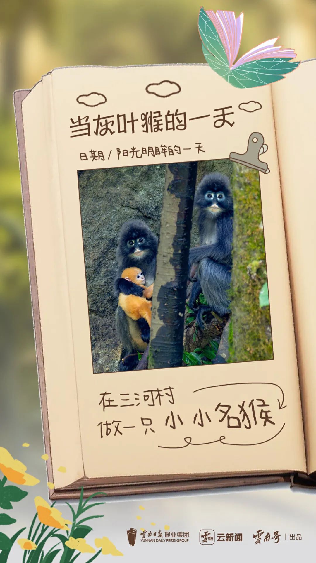 重生之我在云南当“神兽”