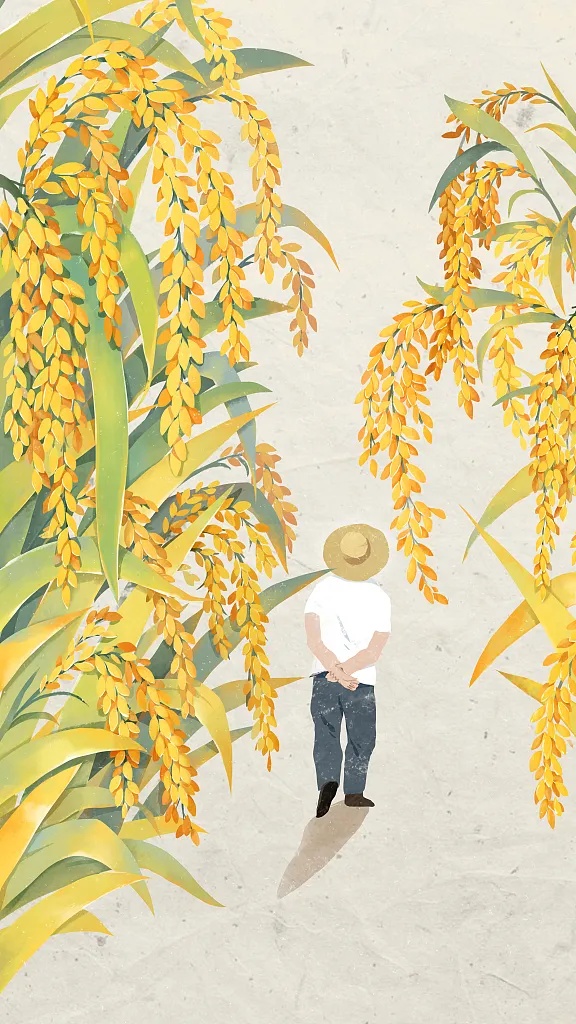 思念不止！解密袁隆平舍不得换的黑色密码箱