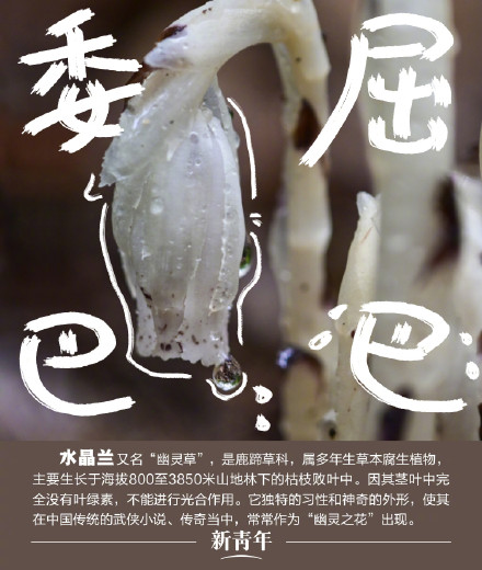 收藏!野生动植物界戏精表情包 收藏!野生动植物界戏精表情包