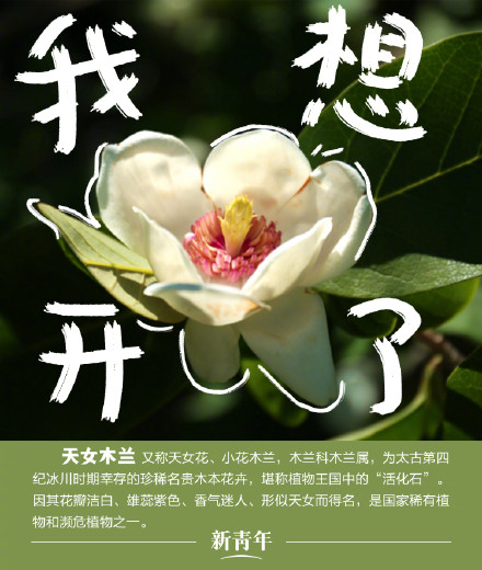 收藏!野生动植物界戏精表情包 收藏!野生动植物界戏精表情包