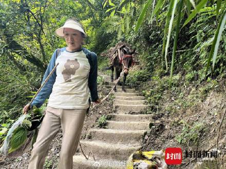 景区负责人：峨眉山骡子运输不得超过150斤