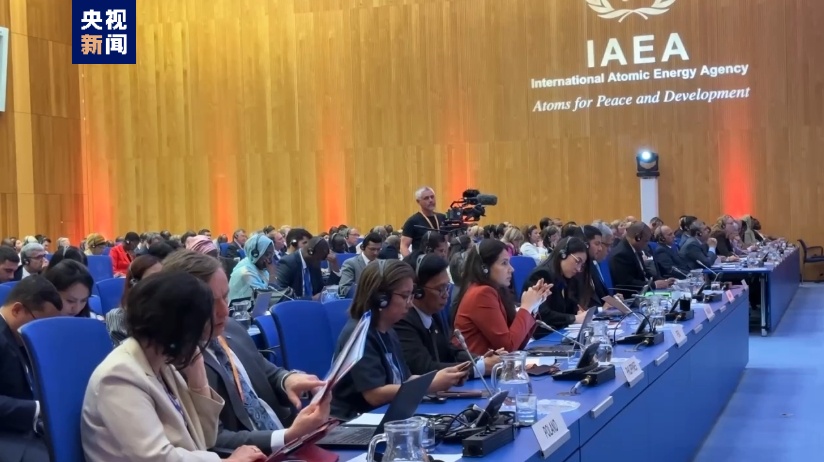 国际原子能机构部长级核安全大会通过联合声明 强调确保核安全