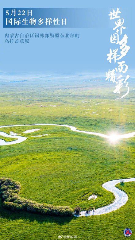 国际生物多样性日丨世界因多样而精彩