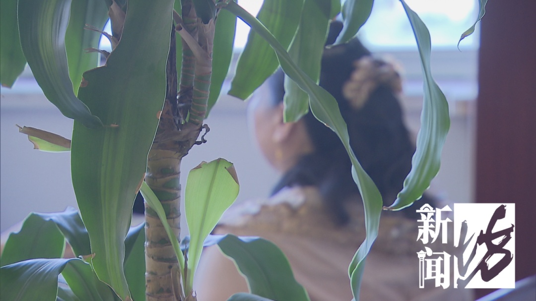 上海警方出动10余个抓捕小组!上百人被骗 太恶劣 上海警方出动10余个抓捕小组!上百人被骗 太恶劣