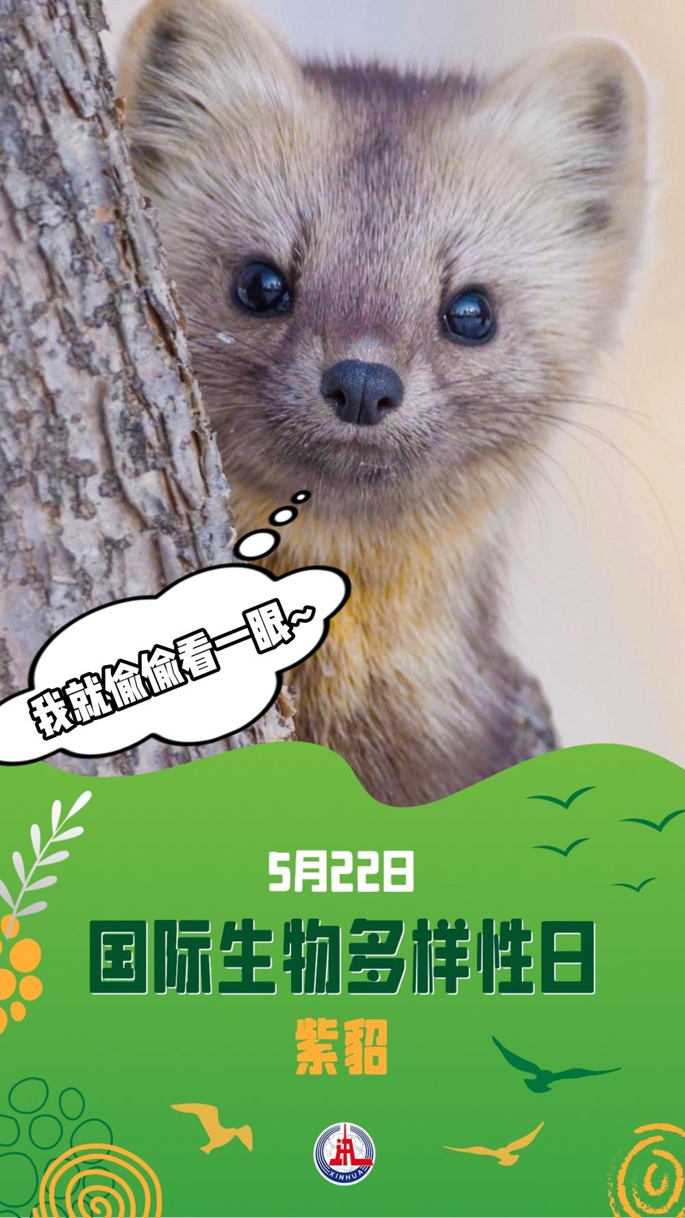 请注意！前方有“萌兽”出没……