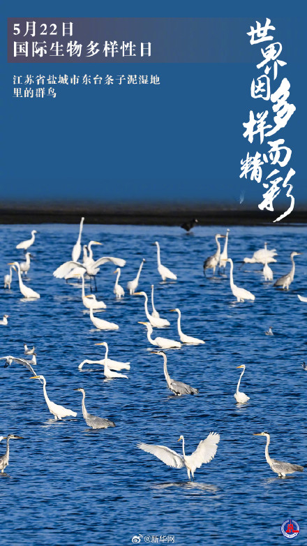 国际生物多样性日丨世界因多样而精彩