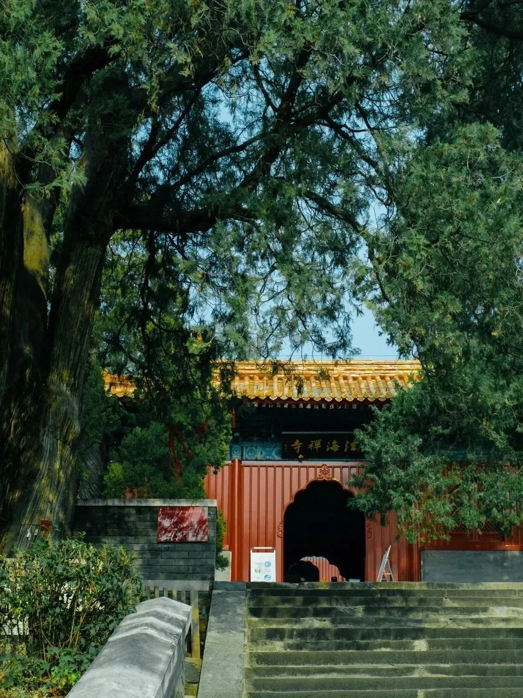 胡歌在石景山骑自行车——