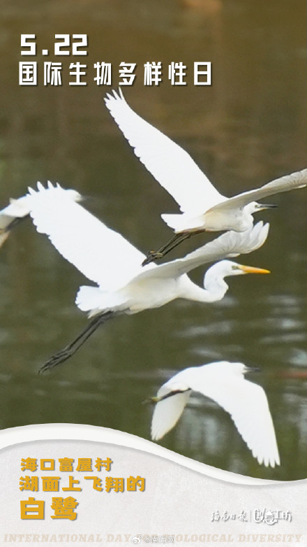 在国际生物多样性日，一起探秘生命的色彩