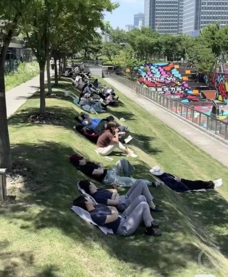 上海这里一夜爆火,有人每天来抢位置 上海这里一夜爆火,有人每天来抢位置