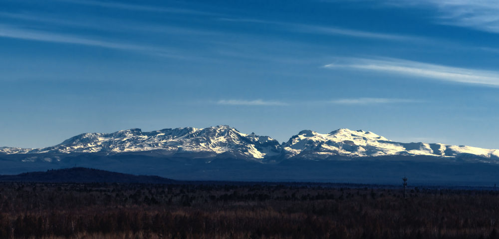 请注意！前方有“萌兽”出没……