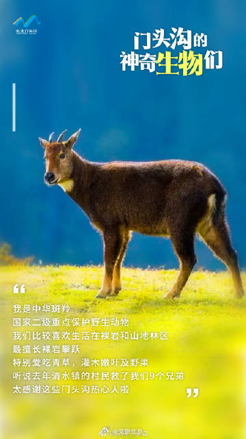 国际生物多样性日 门头沟的神奇生物在哪里？