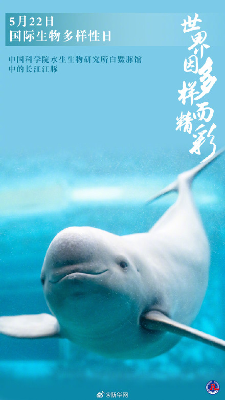 国际生物多样性日丨世界因多样而精彩