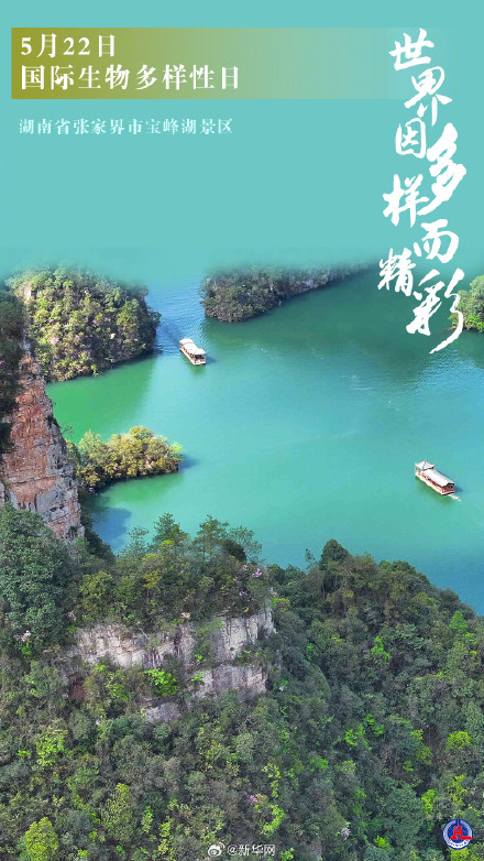 国际生物多样性日丨世界因多样而精彩