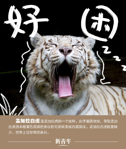 收藏!野生动植物界戏精表情包 收藏!野生动植物界戏精表情包