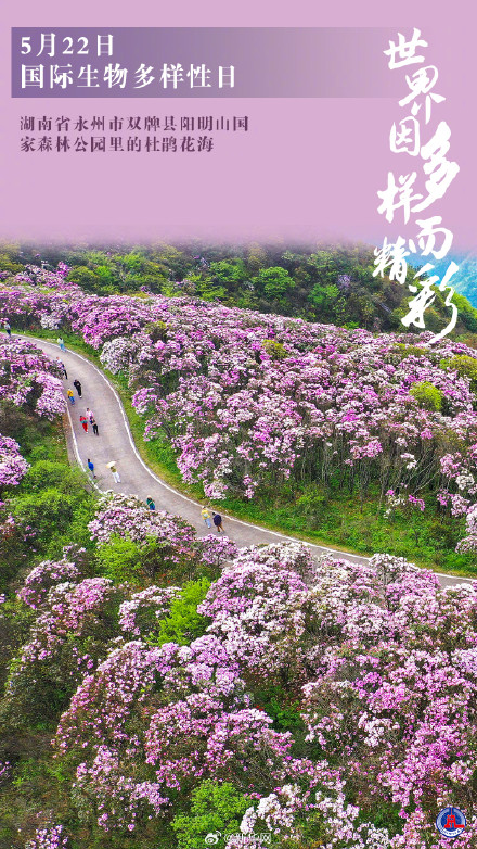 国际生物多样性日丨世界因多样而精彩