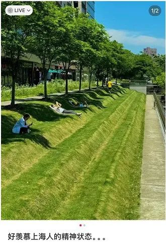 突然爆火!上海这里躺满了人,有人每天来抢位置,外地网友羡慕:魔都遥遥领先 突然爆火!上海这里躺满了人,有人每天来抢位置,外地网友羡慕:魔都遥遥领先