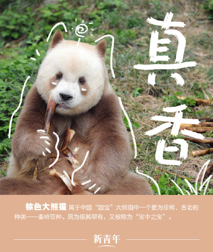 收藏!野生动植物界戏精表情包 收藏!野生动植物界戏精表情包