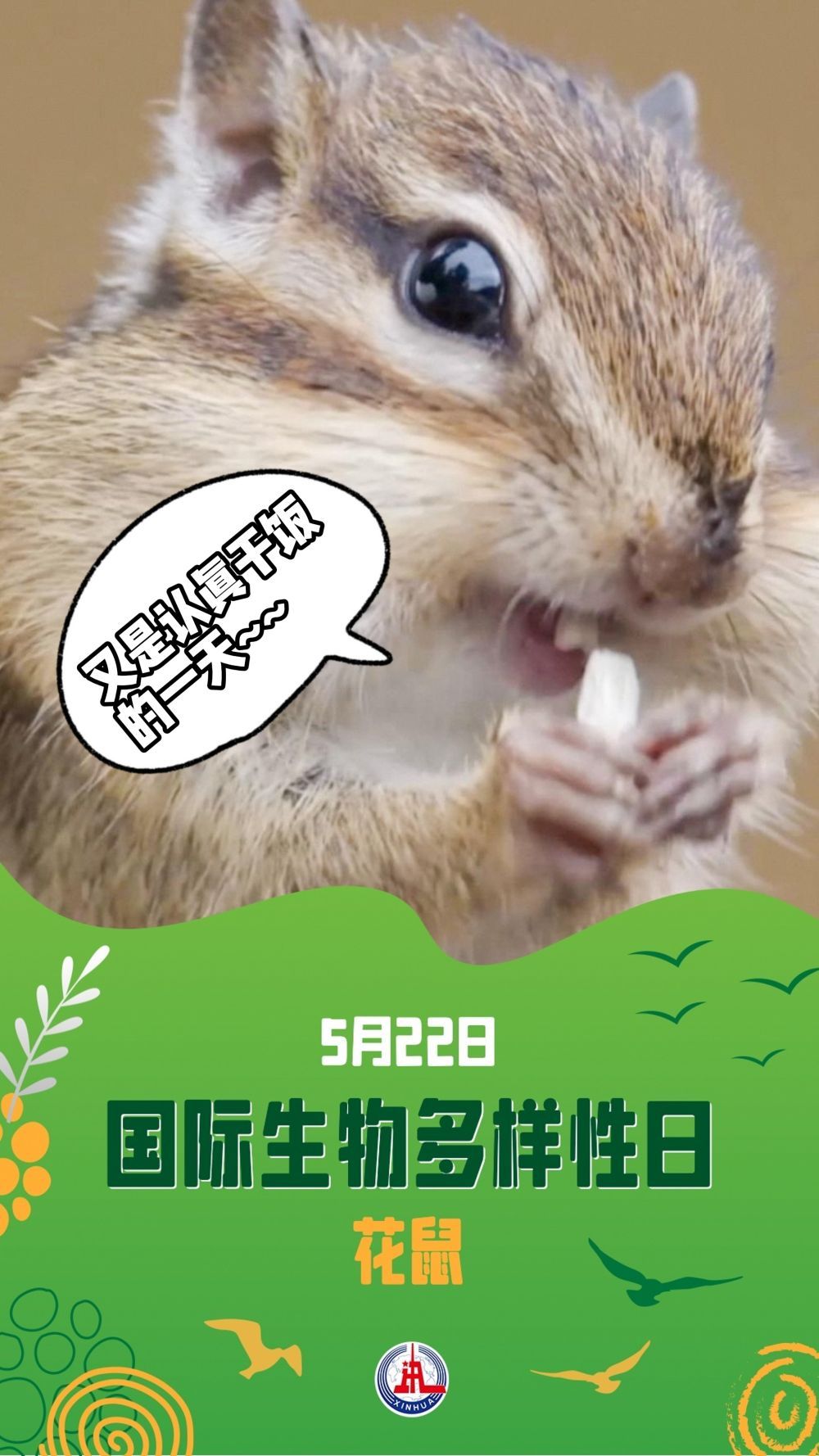 请注意！前方有“萌兽”出没……