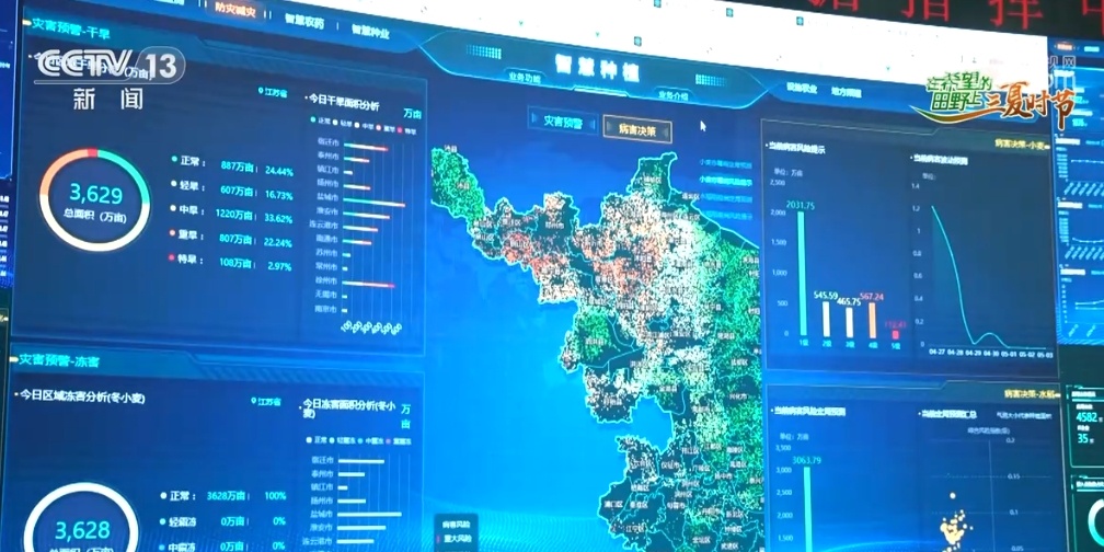“鱼米之乡”近3600万亩小麦丰收在望 “多管齐下”确保颗粒归仓