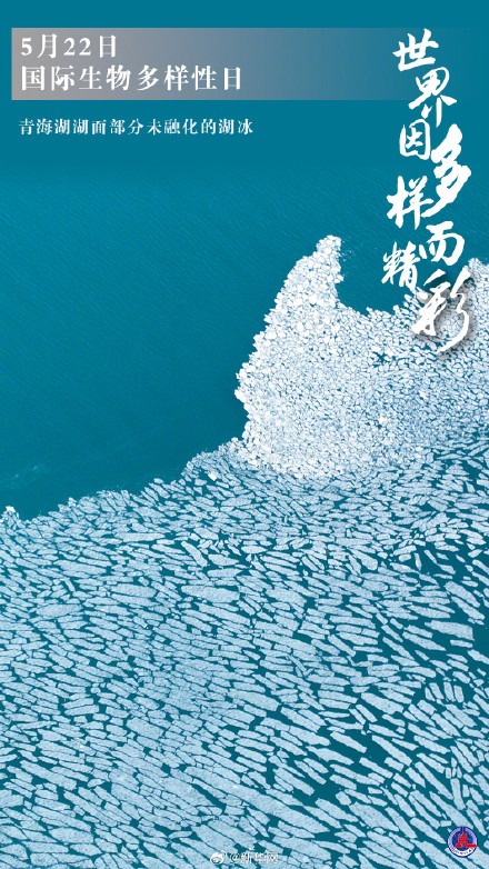 国际生物多样性日丨世界因多样而精彩