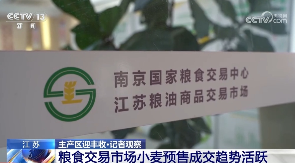 “鱼米之乡”近3600万亩小麦丰收在望 “多管齐下”确保颗粒归仓