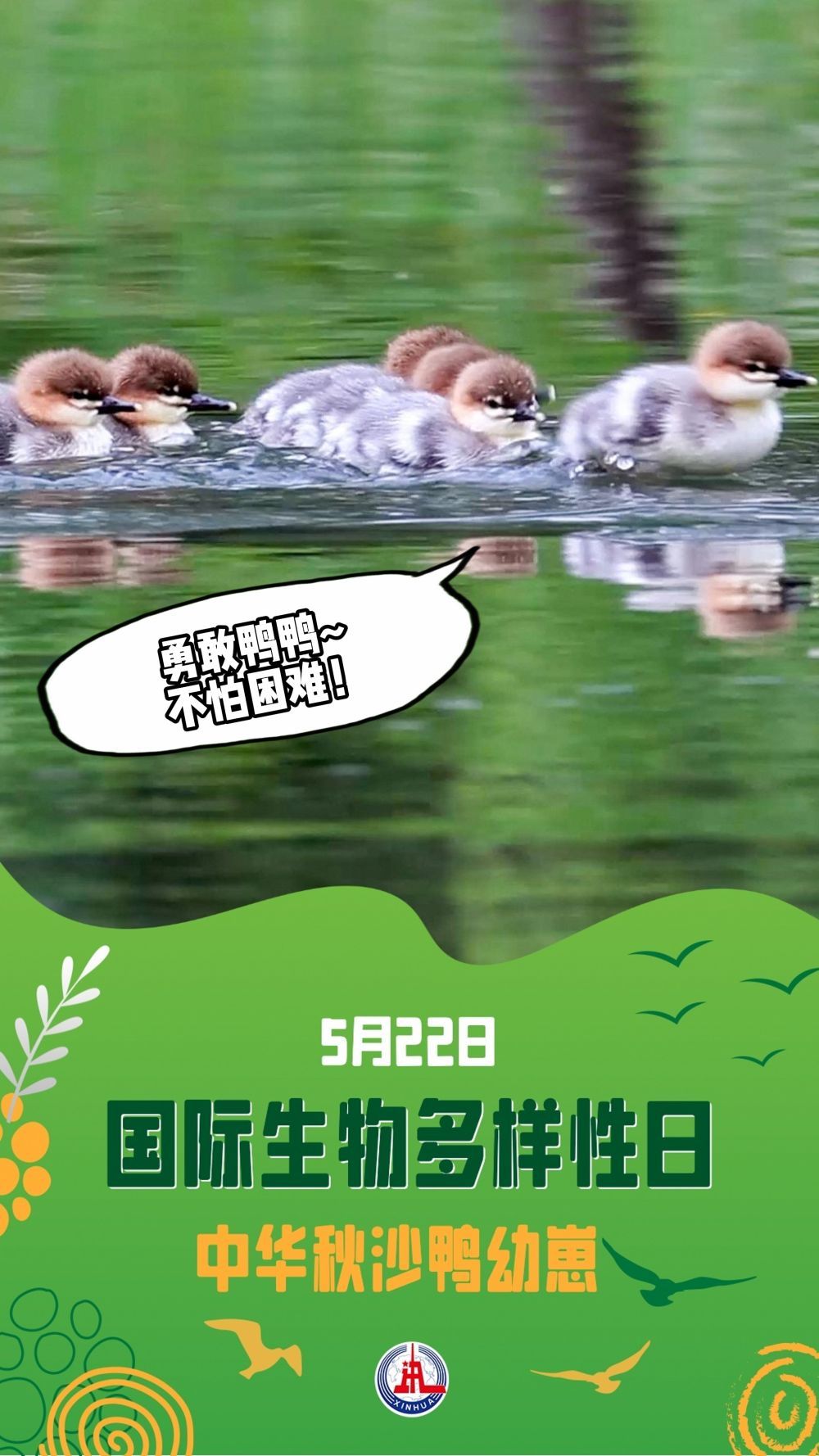 请注意！前方有“萌兽”出没……