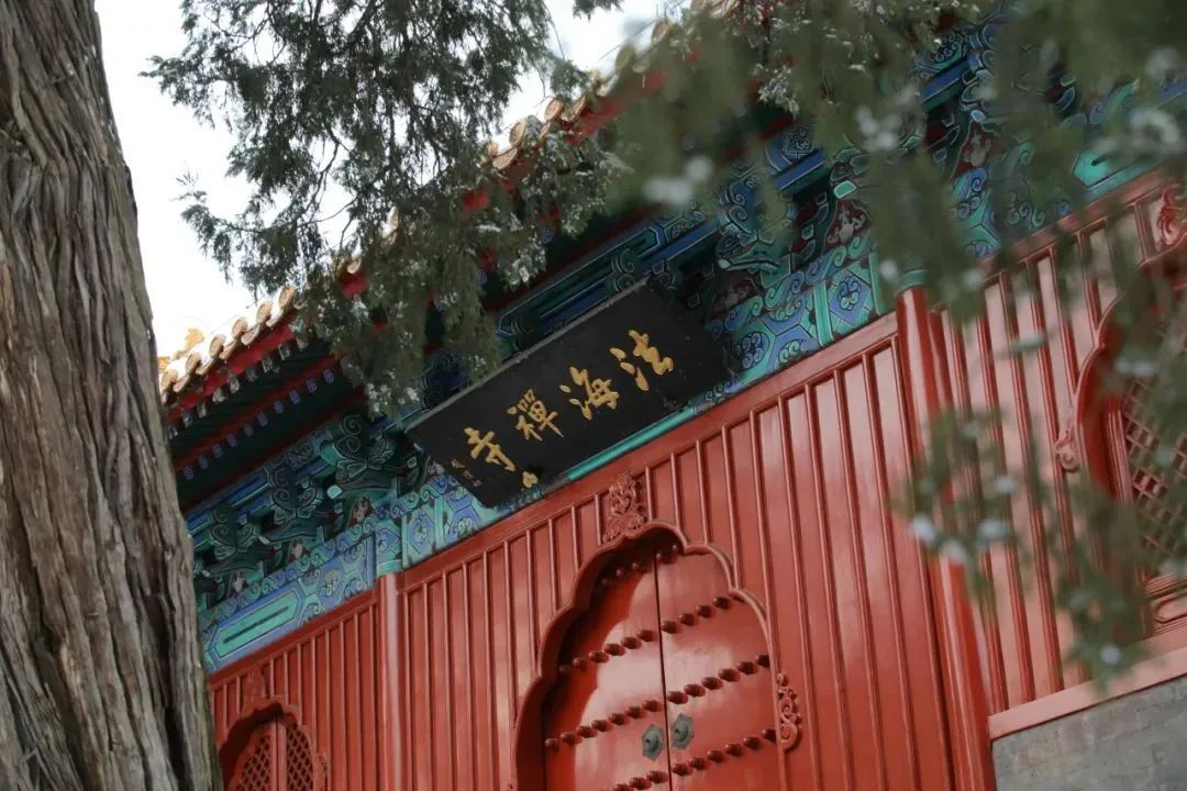 胡歌在石景山骑自行车——