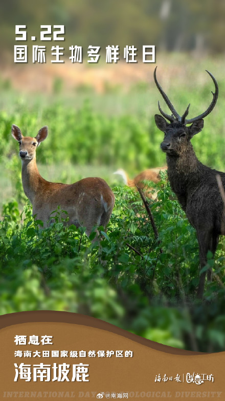 在国际生物多样性日，一起探秘生命的色彩