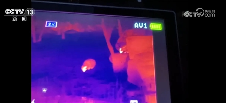 当野生动物“进城”与人类成为“新邻居” 如何做到和谐共生？