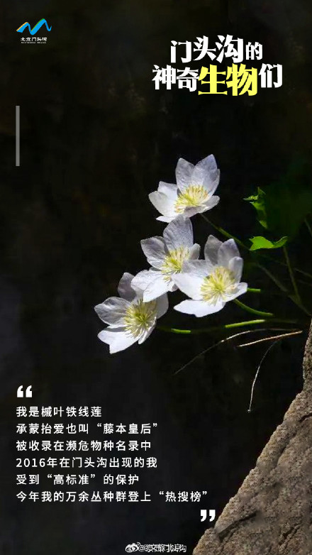 国际生物多样性日 门头沟的神奇生物在哪里？