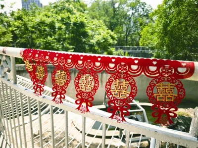 天津动物园,又添喜事! 天津动物园,又添喜事!