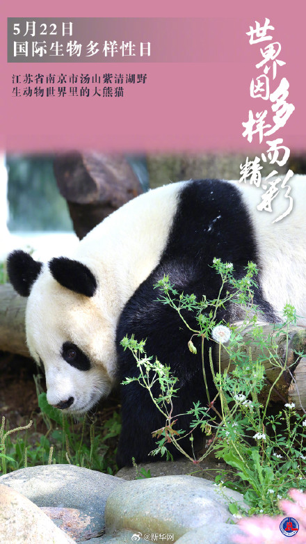 国际生物多样性日丨世界因多样而精彩
