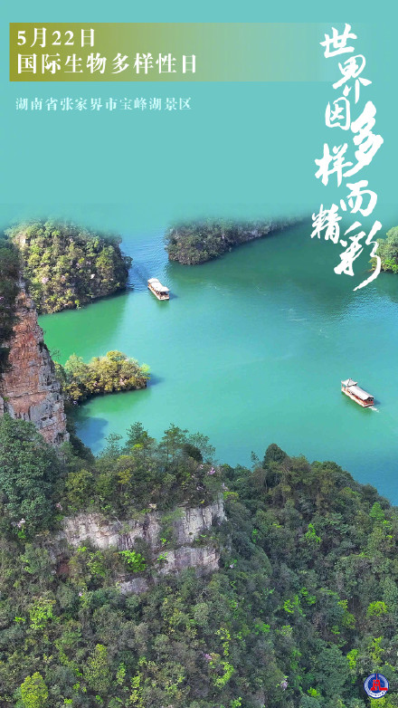 5月22日是国际生物多样性日 5月22日是国际生物多样性日