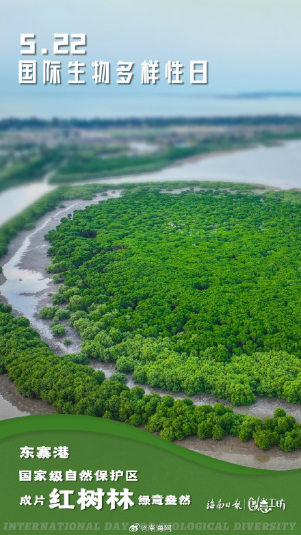 在国际生物多样性日，一起探秘生命的色彩