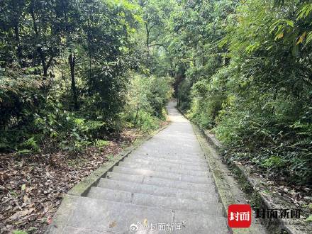 景区负责人：峨眉山骡子运输不得超过150斤