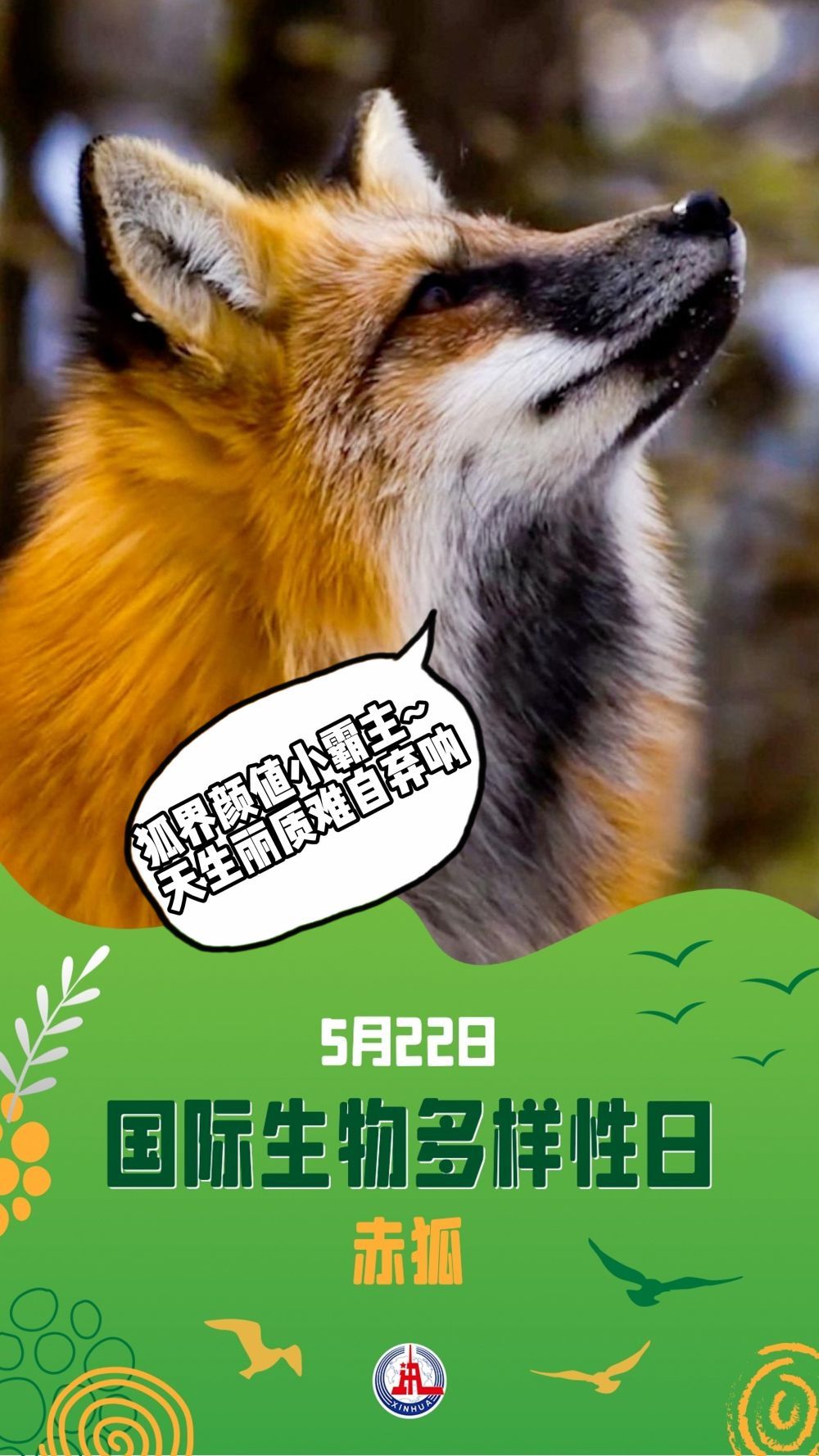 请注意！前方有“萌兽”出没……